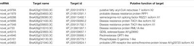 Identification and Analysis of Small Interfering RNAs Associated With Heat Stress in Flowering Chinese Cabbage Using High-Throughput Sequencing